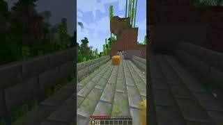 Minecraft, But It's Temple Run! (Watch till the end)