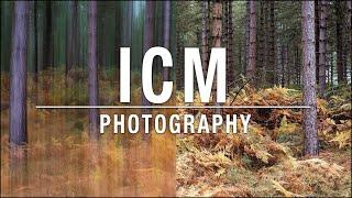 ICM Photography Tutorial – Intentional Camera Movement