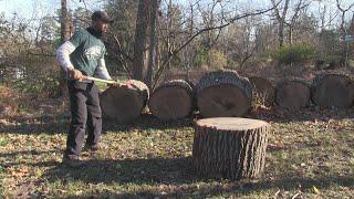 #002 Firewood Processing: Stihl Axes Hand Splitting Large Black Walnut Hardwood Firewood Rounds