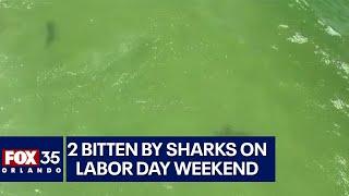 2 shark bites reported at same Central Florida beach on Labor Day