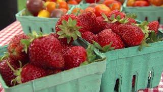 Ask the Expert- High School Nutrition