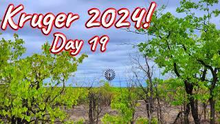 Day 19 – Kruger National Park! S1 – Ep 559