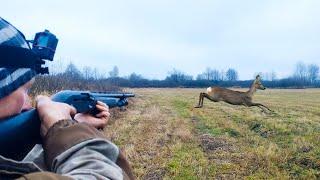 HUNTING FOR ELK AND ROE DEER. Shot in the heart