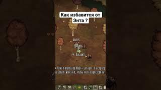 Как избавится от энта в don’t starve #shorts #short #dst #dontstarve #dontstarvetogether #guide