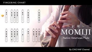 Momiji (Japanese maple) Native American Flute / Fingering chart