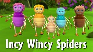 Incy Wincy Spider Nursery Rhyme | Itsy Bitsy Spider  - 3D Animation Rhymes & Songs For Children