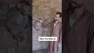 HAMMAD PET HOUSE KI BELO IS  NO MORE 