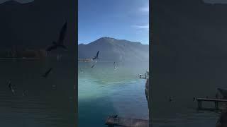 Lake Annecy France #shorts #travelshorts