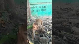 sita ram charit ati pawan dharmendra dhadkan official#youtube#shorte#videos