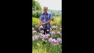 What ONE THING does Alan Titchmarsh need to get better at in the garden?