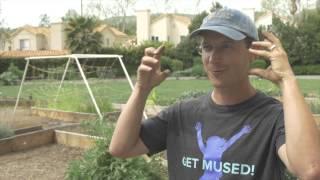 California School Gardens Sponsored by Western Growers Foundation