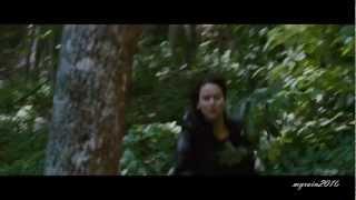 New Hunger games trailer