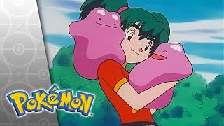 Imitation Confrontation | POKÉMON FULL EPISODE 17 | Season 4