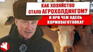 Как хозяйство стало агрохолдингом и при чем тут кормозаготовка? | Заготовка кормов