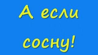 Анекдот недели: а если сосну!