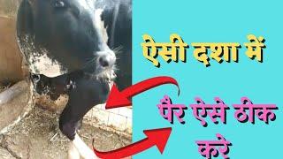 ऐसी दशा में पैर ऐसे ठीक करें DD Ramawat