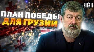 Грузия восстала! Кремлевских марионеток - гнать в шею: план победы от Мальцева