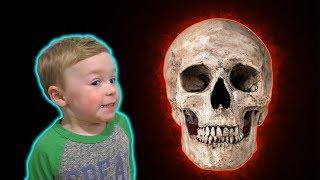 The Skull of Doom - Are Dylan and Jagger Cursed?