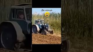 Трактористы в поле #тракторист #мтз #полевые #mtz80