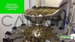 Canapa Solutions | Cannabis Packaging Machine for Weigh Filling Into Containers