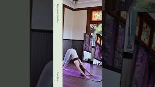 “Yoga is a skill in action”