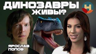 Клонирование динозавров. Последние палеонтологические открытия 2024 - Ярослав Попов