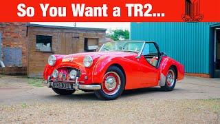 Triumph TR2 Buyers Guide - All You Need to Know On The FIRST Triumph Sports Car!