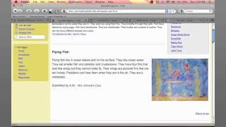 Flipping the Classroom With Wikis.mp4