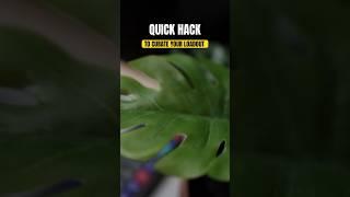 Quick HACK to prepare your loadout  #shorts #youtubeshorts