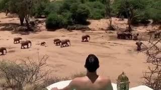 Sasaab Lodge Kenya