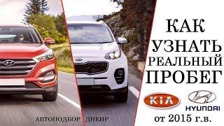 Как узнать реальный пробег HYUNDAI и KIA/ Sorento, Tucson, Sportage, Santa Fe/ Автоэксперт Днепр