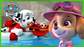 Meer dan een uur lang plezier met de reddingsacties van Skye en Marshall - PAW Patrol Nederlands