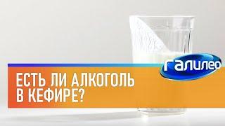 Галилео  Есть ли алкоголь в кефире?