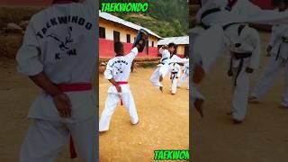 Taekwondo #shorts #shortfeed #taekwondo #showkick#kicks