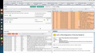 Burp Suite 2 Professional: Automated Scanning