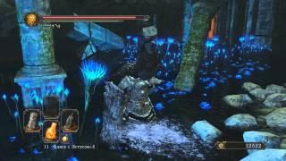 Dark Souls 2 где найти душу и сет короля Вендрика после победы над ним