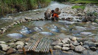 How to catch a giant school of fish: A smart boy makes a primitive trap to catch fish