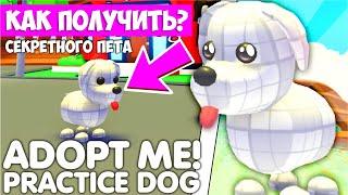 КАК ПОЛУЧИТЬ НОВОГО СЕКРЕТНОГО ПЕТА Practikal dog!НОВОЕ ОБНОВЛЕНИЕ! #adoptme #news