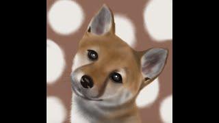 Procreate: Shiba Inu 柴犬