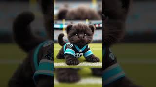 If NFL Mascots Were Babies  #shorts