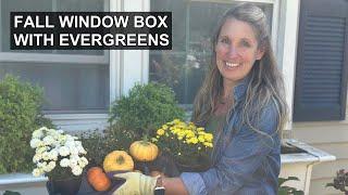 Easy Fall Window Box Planter Decor With Evergreens (Part 3 of 4)