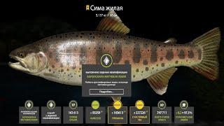1300+ СЕРЕБРА ЗА ЧАС! ЛЮТЕЙЩАЯ РАЗДАЧА ФАРМА СЕРЕБРА и НОВЫХ ТРОФЕЕВ на ЯМЕ в Русской Рыбалке 4! РР4