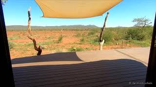 Madikwe Hills Lodge 2019