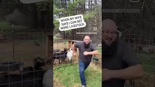 She said yes  #homestead #farming #homesteading #cute #funny #marriage #humor