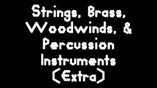 Strings Brass & Woodwinds Instruments (In Order)