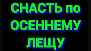 Уловистая снасть по осеннему лещу, карасю, плотве. #монтажи, #рыбацкиеснасти, #осеннийлещ #рыбалка