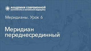 Канал переднесрединный. Рефлексотерапия, обучение онлайн. Академия акупунктуры Акумед.