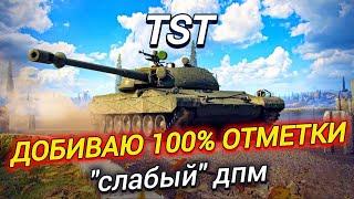 TST - ДОБИВАЮ 100% ОТМЕТКИ ЗА СТРИМ