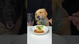 A Feast for the Stomach and the Soul. Golden and Labrador. Oh My God, It Smells So Good