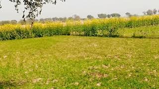 Beauty of Khan Kalari Agriculture farm